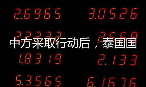 泰王这次给佩通坦发批文