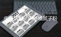 中正筑强：内外墙腻子粉你真的了解吗?