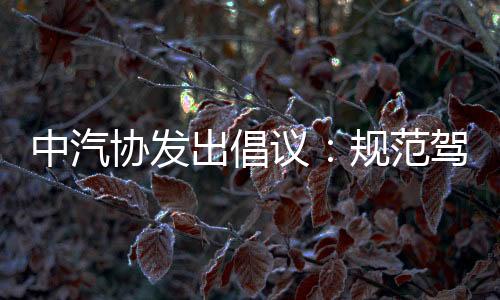 践行质量承诺与平安责任