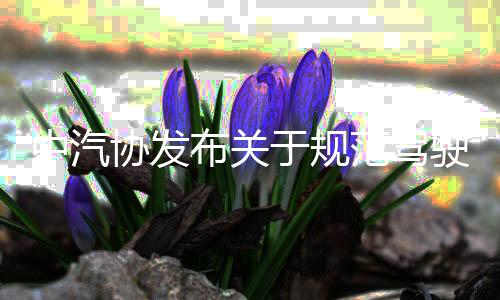 共同筑牢道路平安防线