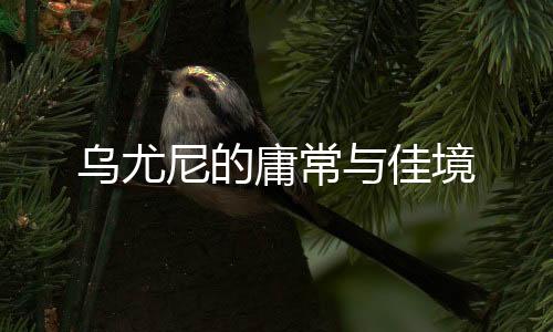 我随便找了家青旅住下