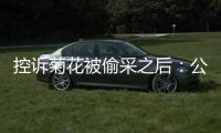 控诉菊花被偷采之后：公安出警	、村干部下田维持秩序