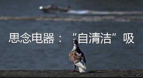 自清洁除异味”五大难题
