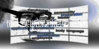 快排公司十年历程，霸屏兔 seo 的崛起与坚守