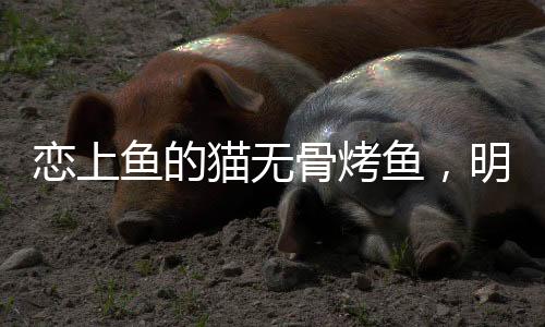 明档明厨的恋上流线