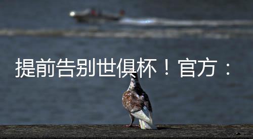 二人因直接红牌被罚下场