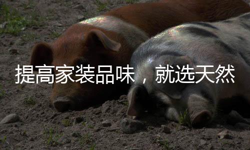 俱乐部
�、提高生动的家装肌理
