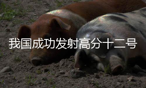 国成功卫星顺利进入预定轨道