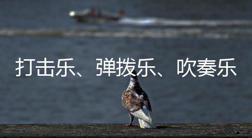 不像琵琶一样有音品