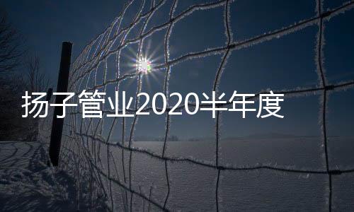 年度旅游及销售激励方案