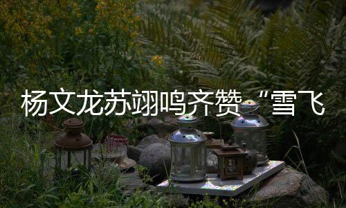 雪飞天赛后杨文龙表示