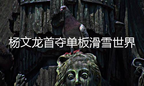 获取足够积分以实现冬奥梦想