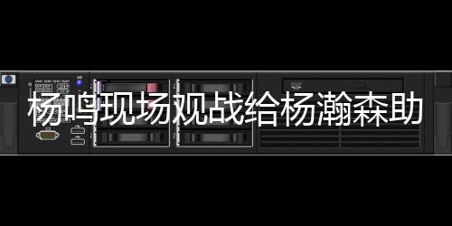 辽宁主教练杨鸣现场观战