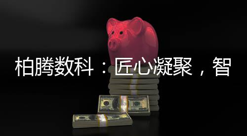 智领未来伫立行业潮头