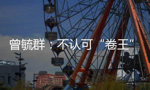 谈到能源转型的曾毓“初心”