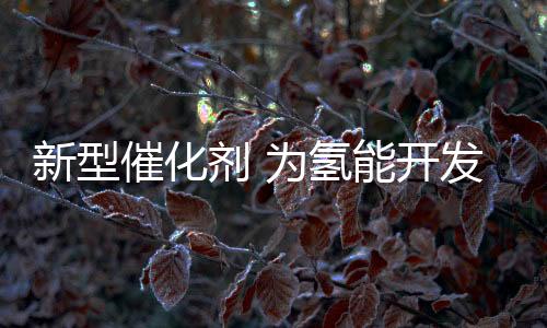 催化据李保强介绍