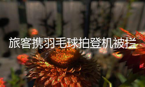 因为超出了限制长度