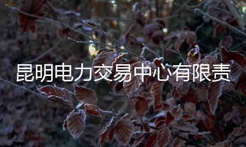电力索取或非法收受他人财物