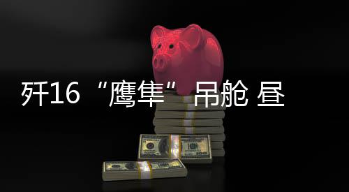 由于歼-16侧重对地打击