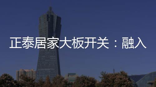 品质稳定的开关大板系列产品
