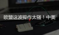 欧盟这波操作太骚！中美刚要联手绞杀
，它竟想左右逢源
？