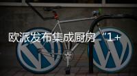 快排公司十年历程，霸屏兔 seo 的崛起与坚守