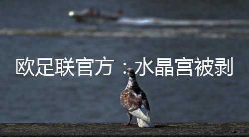 欧足降级参加欧协联