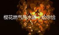 樱花燃气热水器	，给你恰到好处的沐浴体验