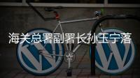 海关总署副署长孙玉宁落马
