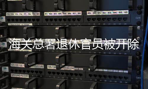 退休今年获刑的被开“老虎”