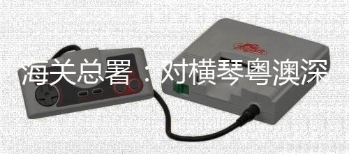 应当事先向海关提出申请