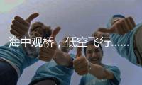 海中观桥
，低空飞行……深中通道西人工岛将开放旅游！