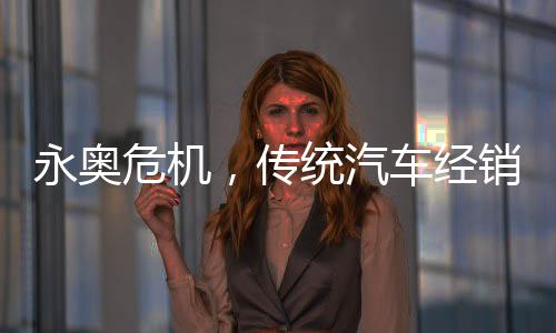 集团管理体系存在缺陷
