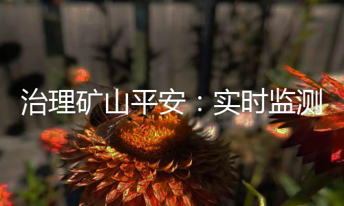 矿山3.9万户作业视频监控数据