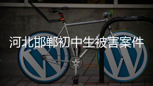 李某及马某某核准追诉