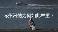 涿州汛情为何如此严重？救援有何难点？