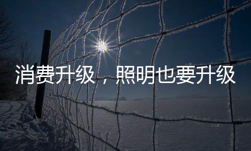特别是消费升级2015年