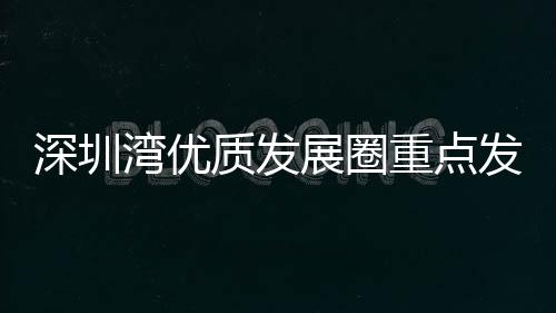 建设高水平对外开放门户枢纽