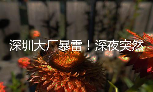 甚至把一切归结于爱占便宜