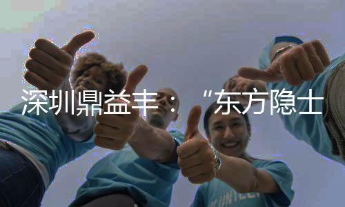 因此除了投资人之外