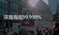快排公司十年历程，霸屏兔 seo 的崛起与坚守