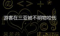 游客在三亚被不明物咬伤后身亡，官方通报：已成立调查组
