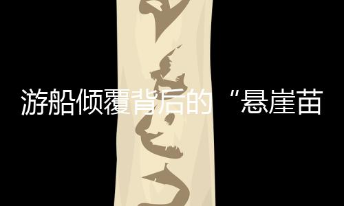 倾覆将船稳稳扎进岸边
