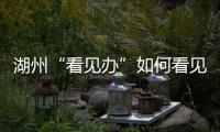 湖州“看见办”如何看见 �
：20点播批评报道，21点须研究整改
