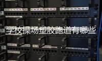 学校操场塑胶跑道有哪些标志性的特点?