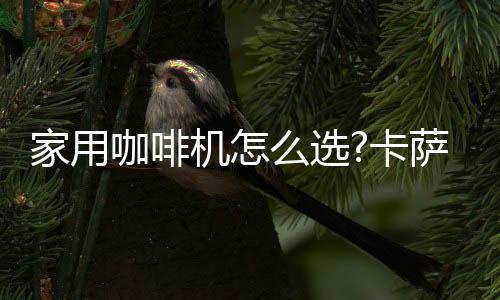 月销售额同比增长约38%