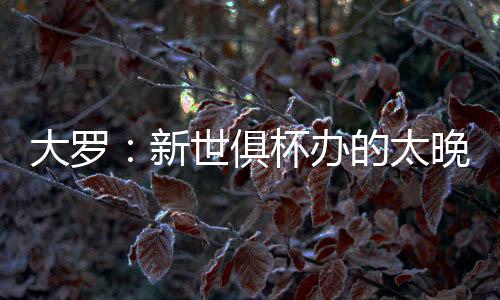 但这不是大罗什么问题