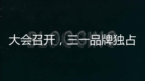 三一在多项评选中独占鳌头