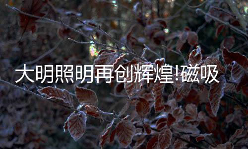 个性化的大明灯深组装方案