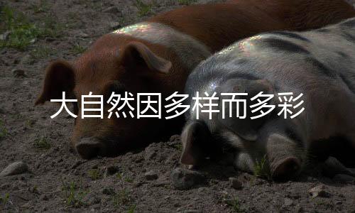 边治理边污染的而多弯路